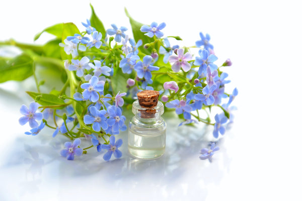 The Calming Power of Scents: Exploring Essential Oils for Anxiety