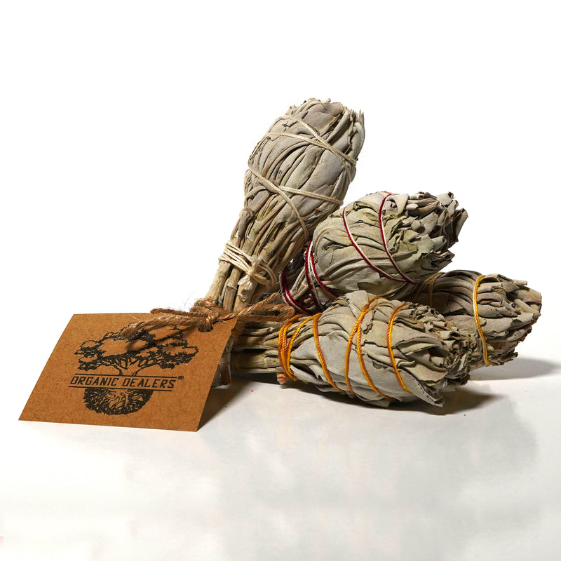 white-sage-torche-style-bundles-for-smudging